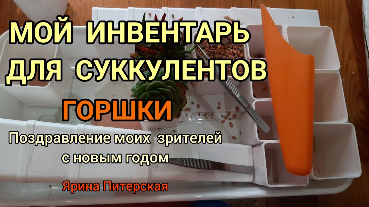 Мой инвентарь для суккулентов. Горшки.