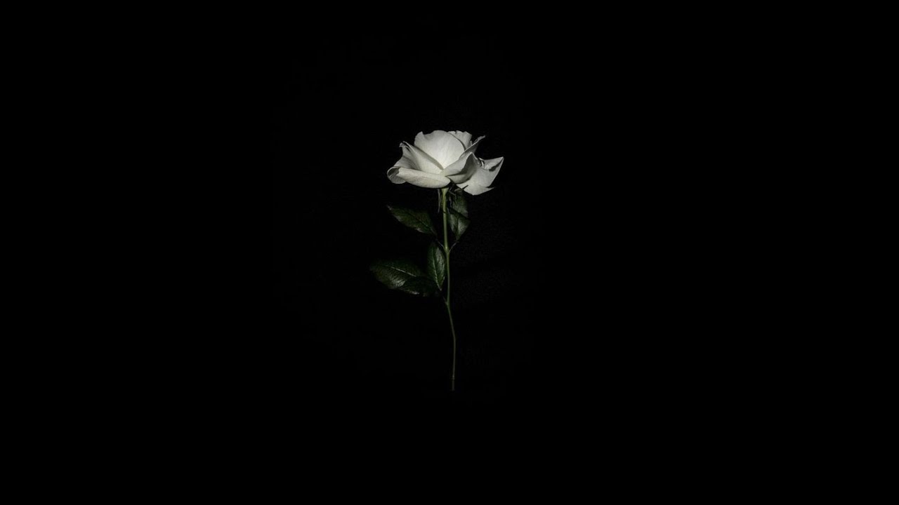 (FREE) Sad Piano & Zamdane Type Beat ~Une serenade~