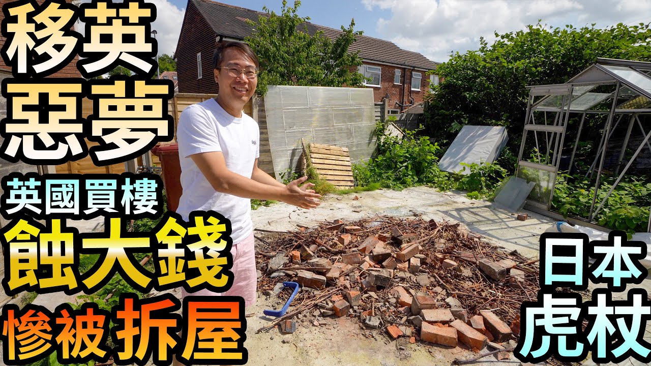 日本虎杖 英國房屋殺手☘️ 係點樣？有幾恐佈💀移英慘被拆屋🇬🇧買錯樓蝕大錢