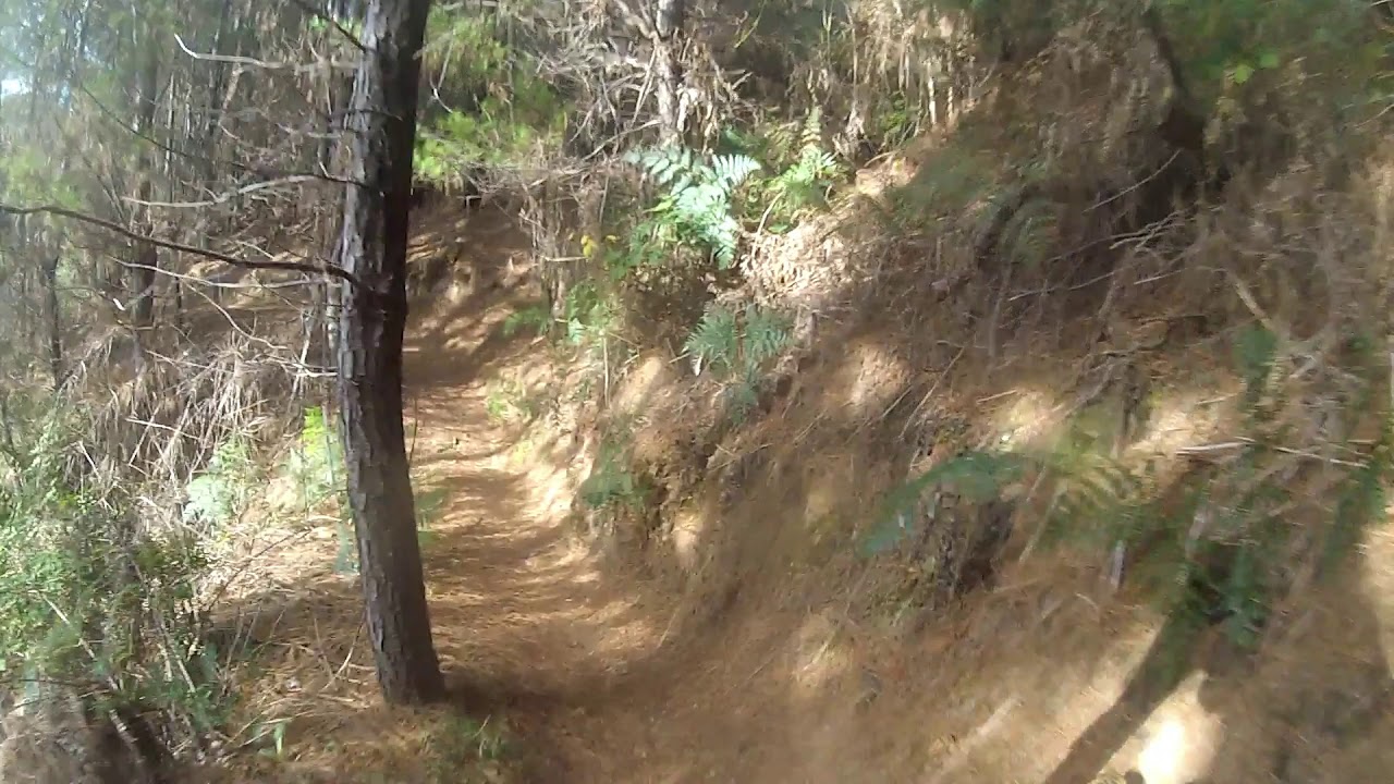 brighttt on the xc hardtail!