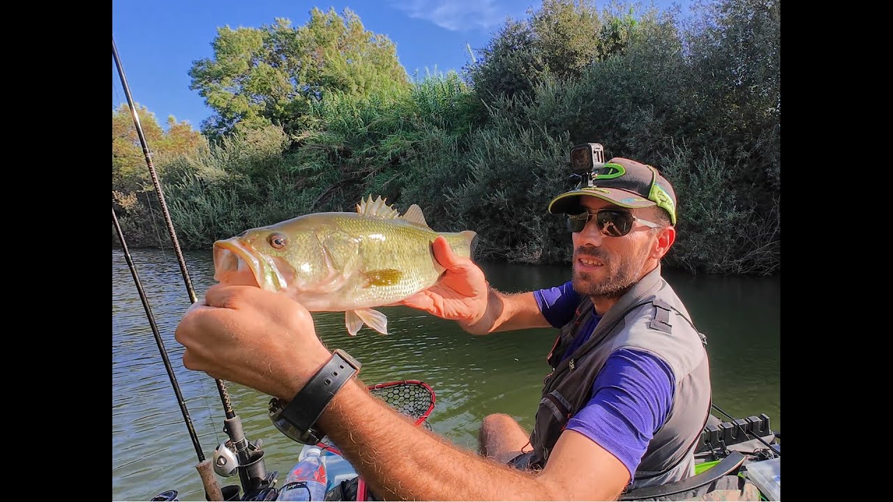 Pesca ao Achigã à Superfície e à Texas 2024 🎣🎣