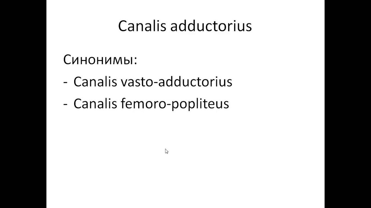 Топография  Canalis femoralis pptx