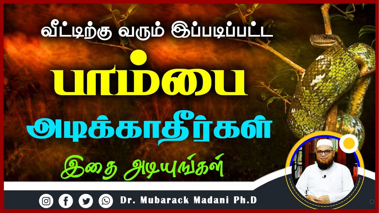 வீட்டிற்கு வரும் இப்படிப்பட்ட பாம்பை அடிக்காதீர்கள் இதை அடியுங்கள்_ᴴᴰ ┇ Dr Mubarak Madani