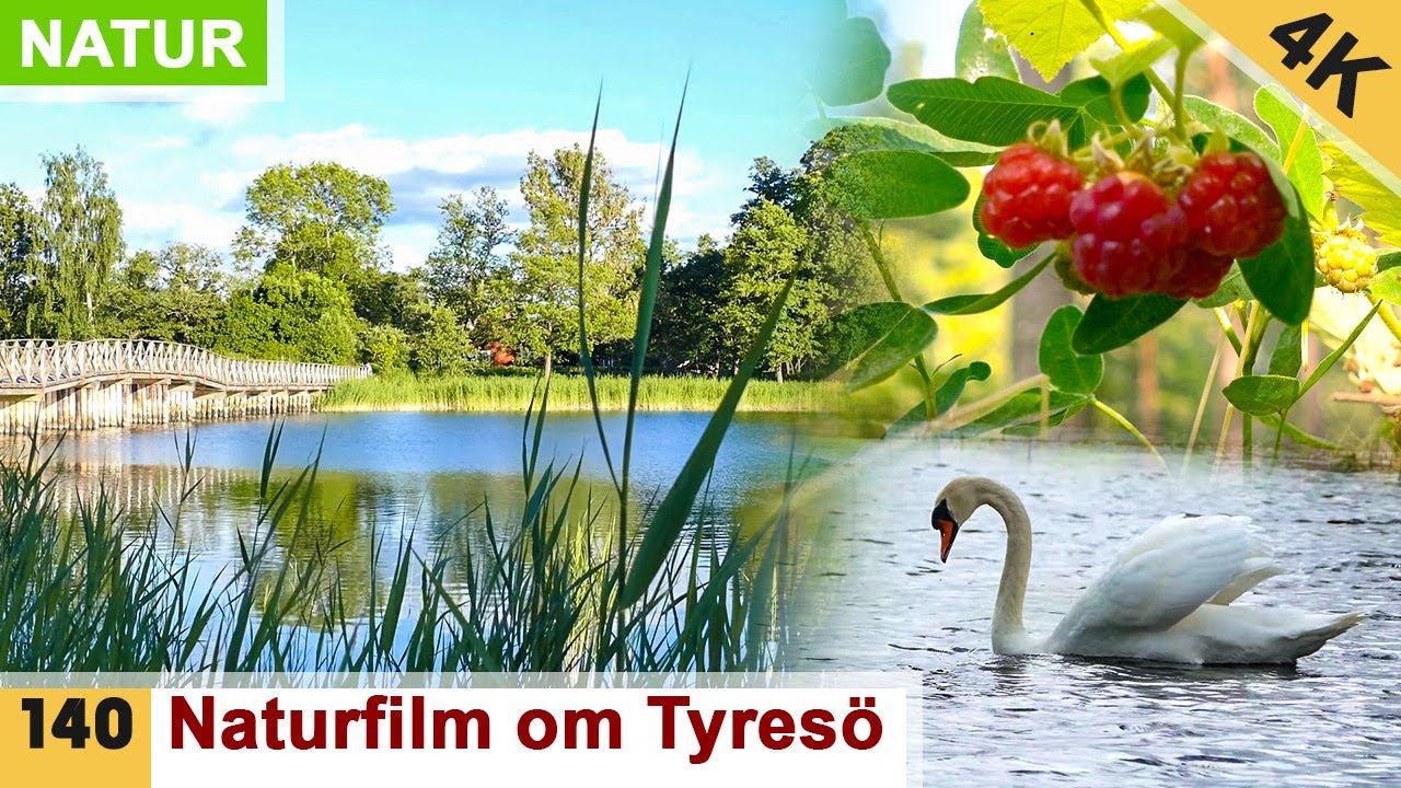 Tyresös vackra natur i Ultra HD-kvalitet