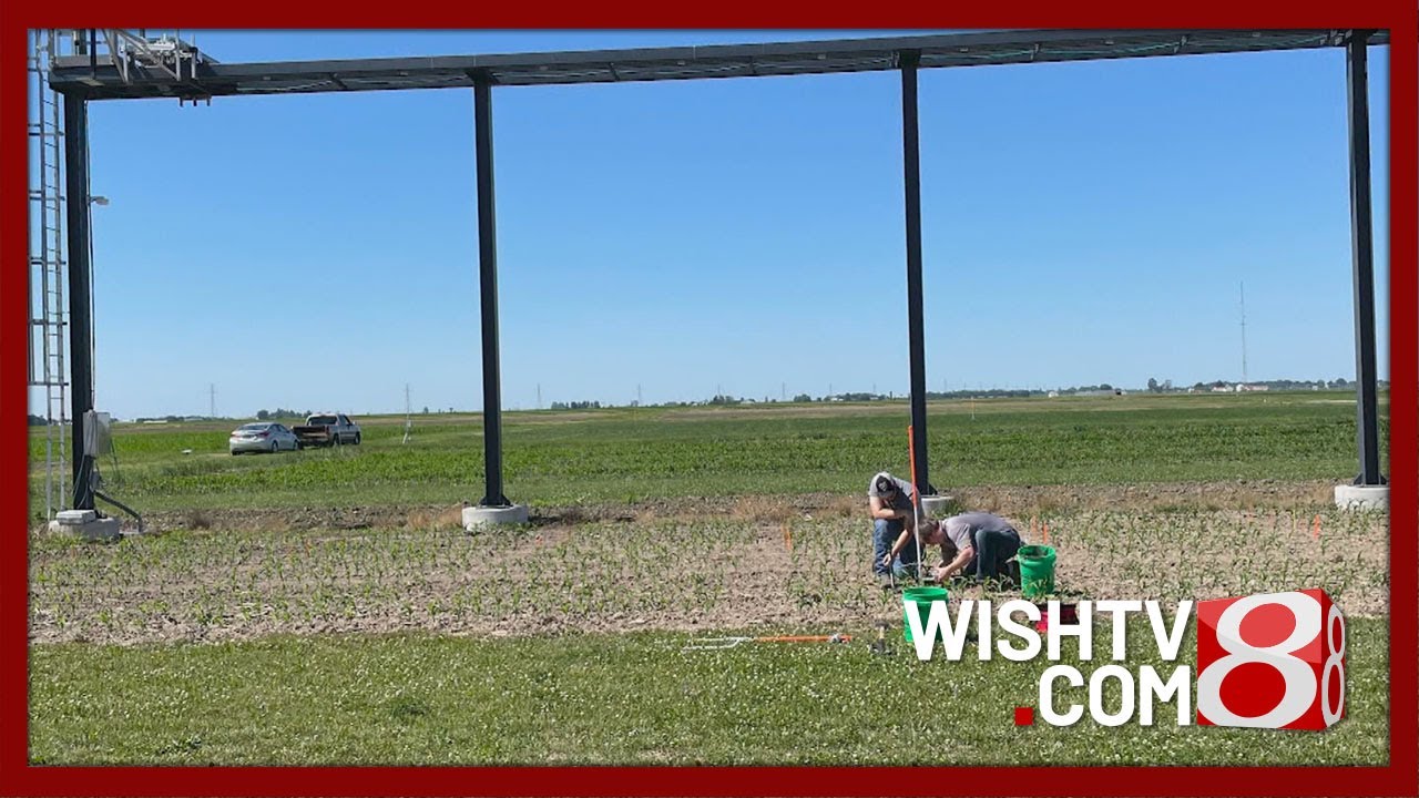 Purdue researchers' AI-powered soil sensors could improve crop farming