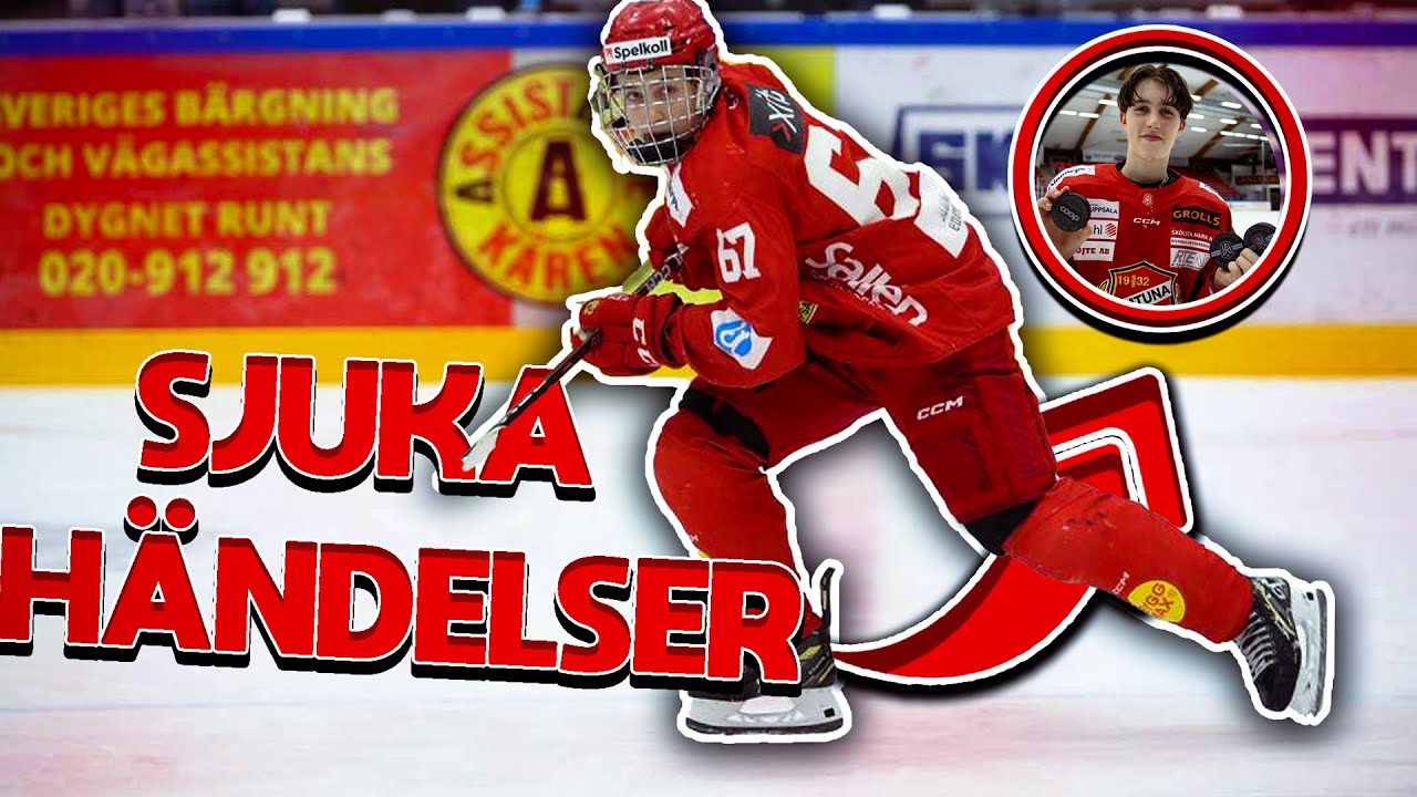Sjuka H&auml;ndelser Inom Svensk Hockey Del 3