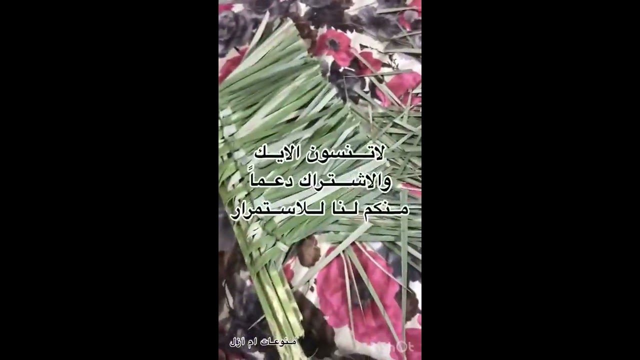 عمل مكناسة من سعف النخل بطريقه بسيطة جدا بدون اي تكلفة