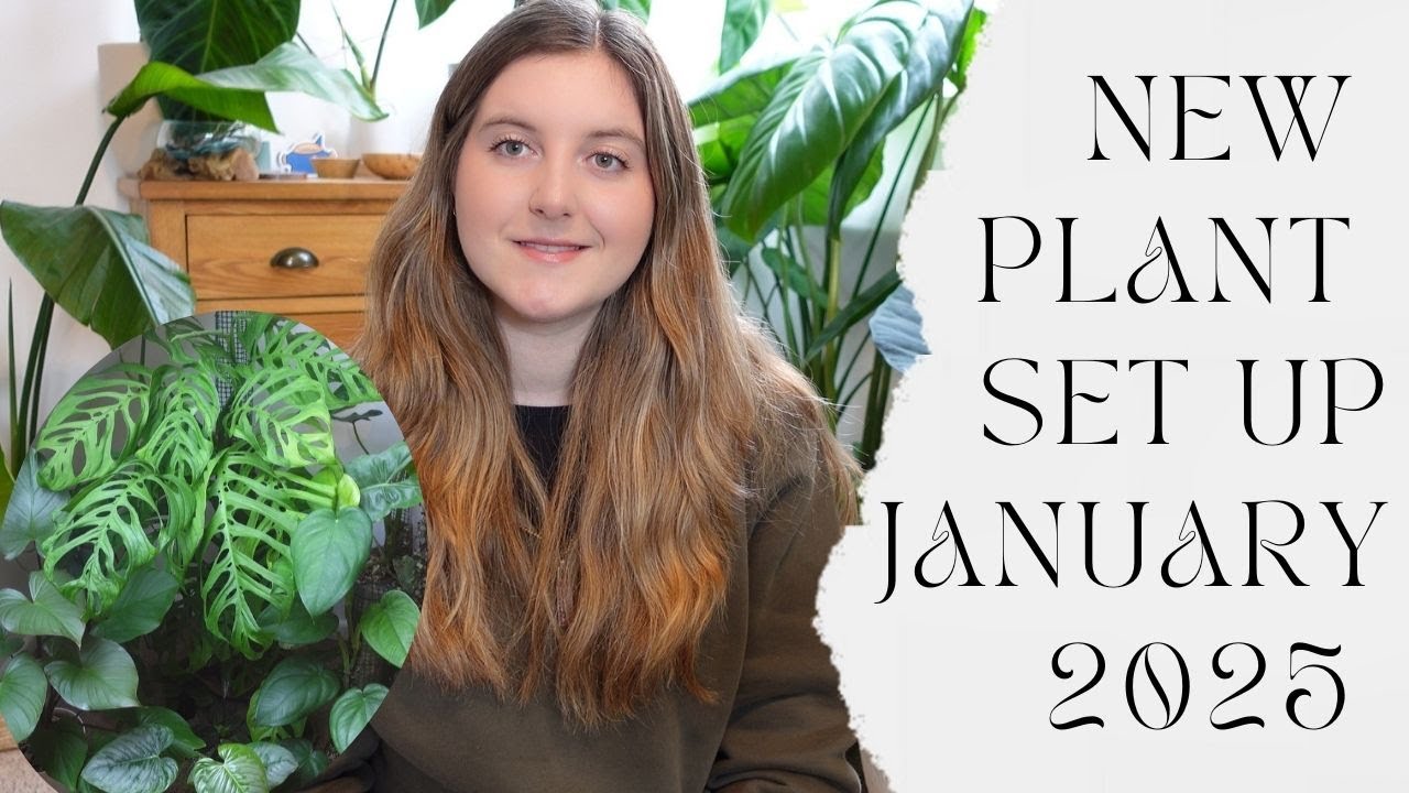 ✨New Planty Set Up PLUS Whistlestop Houseplant TOUR 2025!✨