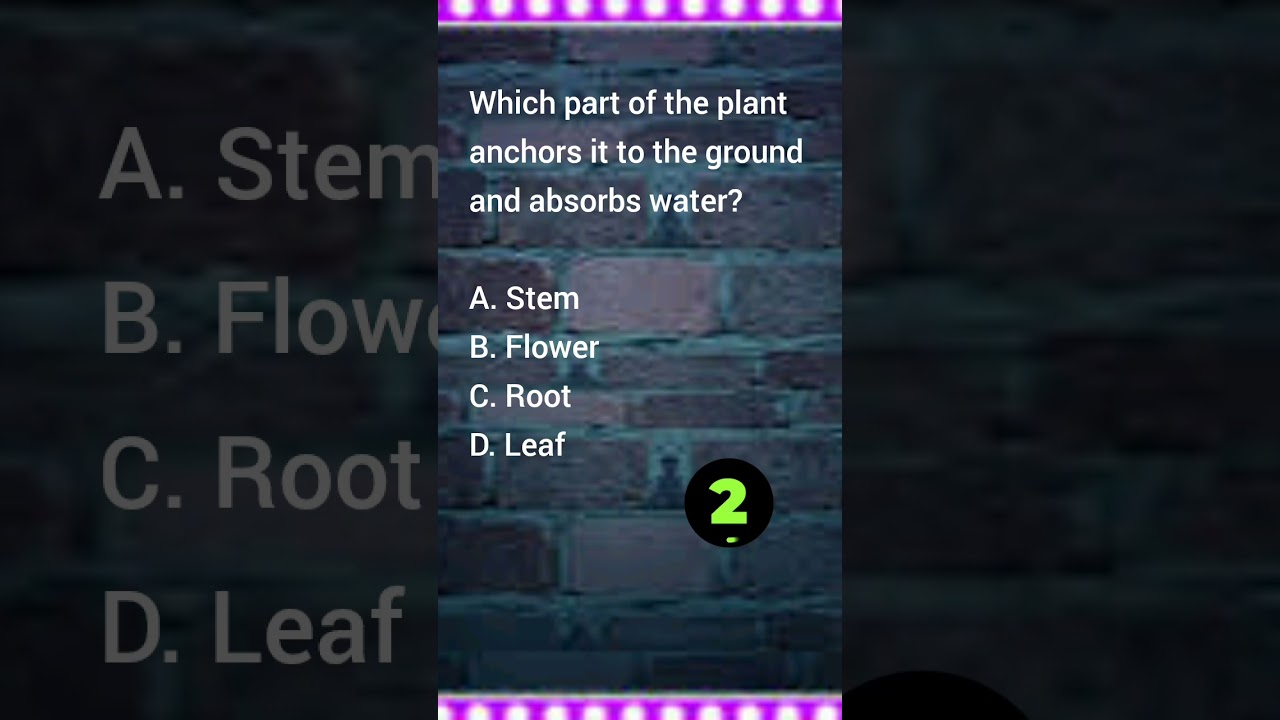I know what you are thinking. #popquiz #factslides #coldfacts #mythbusting #youquizontheblock