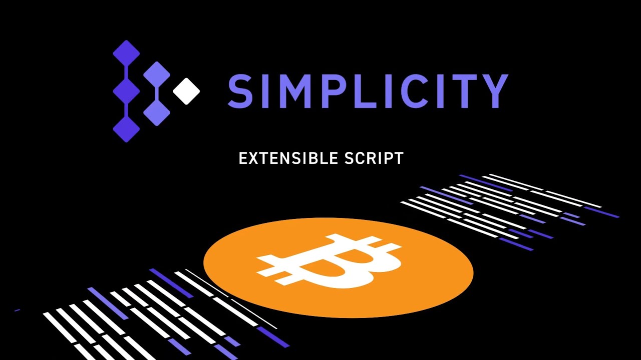 What Is the Simplicity Smart Contracting Language?