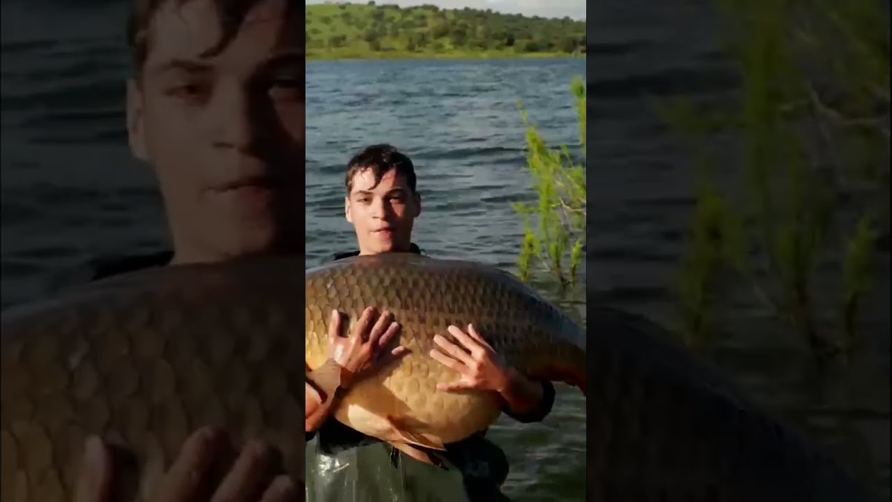 Carpa gigante: &iexcl;No puedo soltarlo!