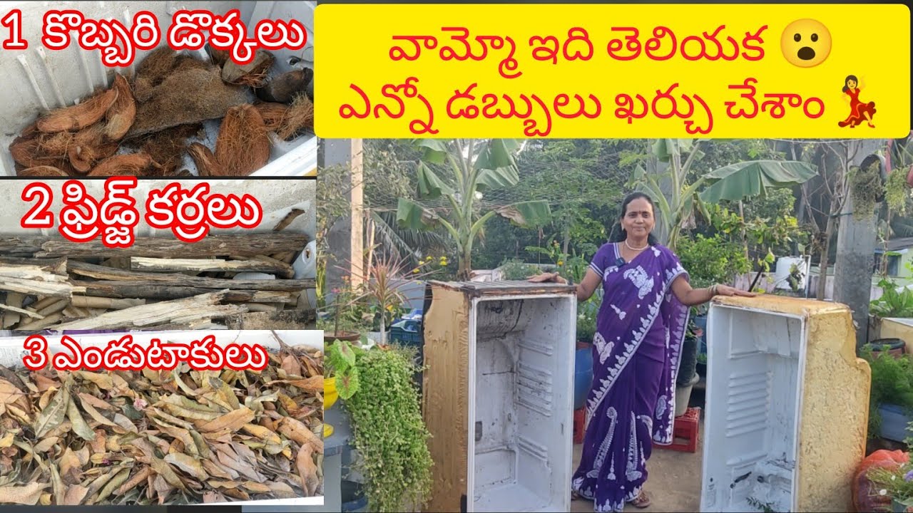 3 ఫ్రిజ్లులు కొన్న మా తోటకి అంతా చల్లగా ఉంటుందని#మాబుజ్జితోటఛానల్#తెలుగుటైలర్