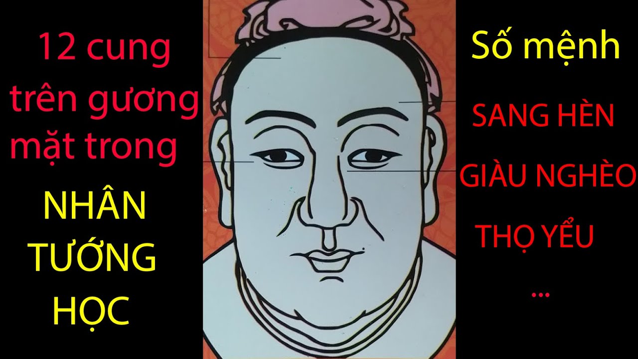 12 cung trong nhân tướng học nói nên số mệnh sang hèn, giàu nghèo, thọ yểu...