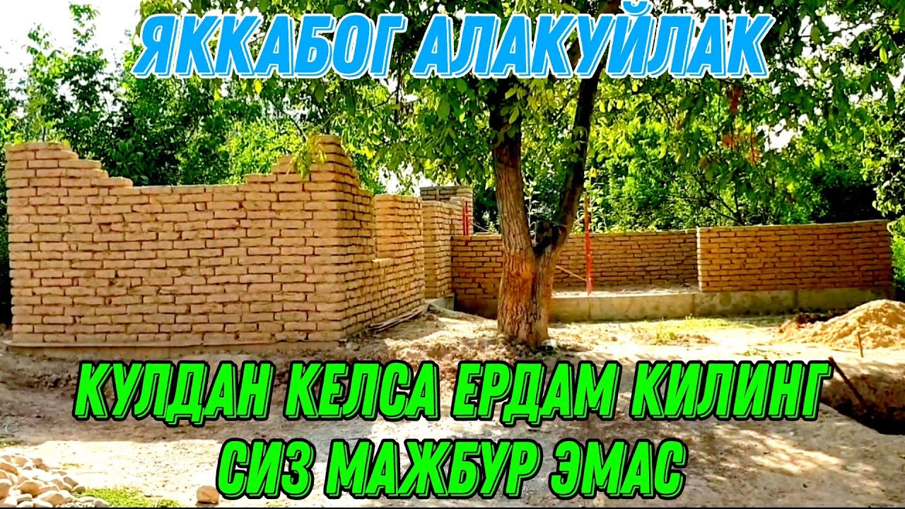Эхсон видео Алакуйлак йгитлари #кашкадаре,#равшан,#uzbekistan