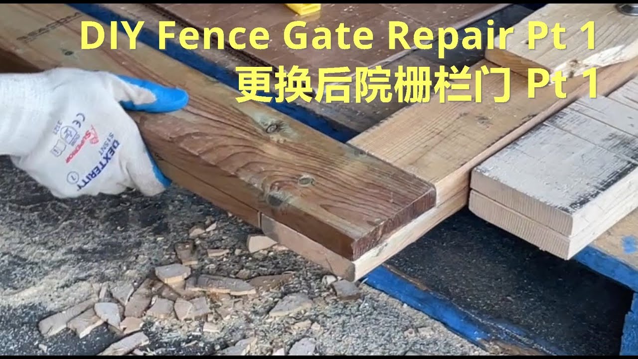 DIY Fence Gate Repair Pt 1 更换后院栅栏门 Pt 1