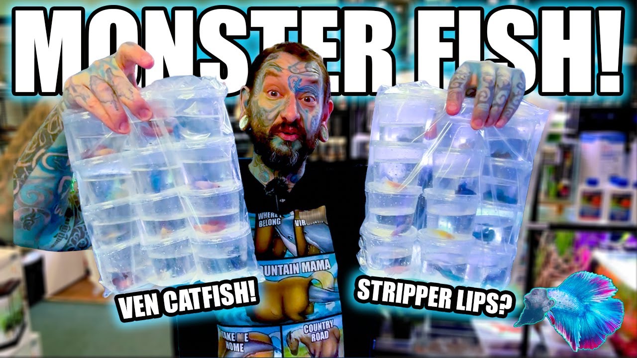 UNBOXING CRAZY FISH & STRIPPER LIPS! 👄 