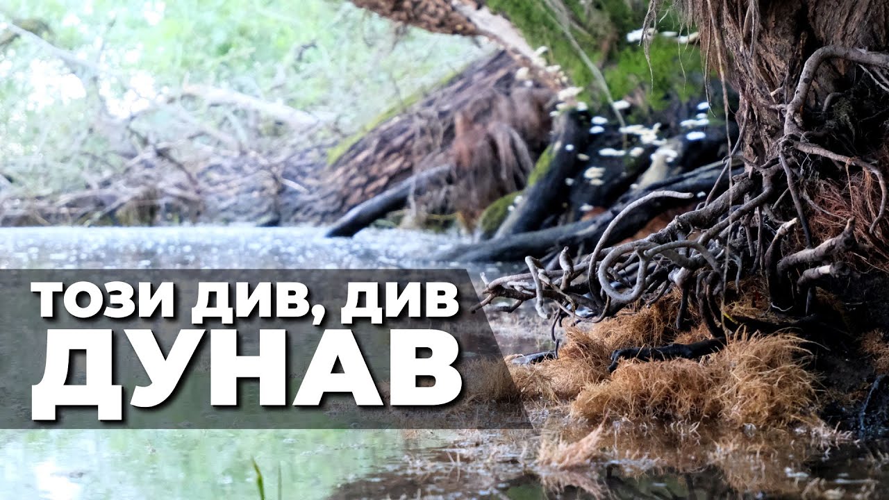 ТОЗИ ДИВ, ДИВ ДУНАВ - откриване на сезон 2021