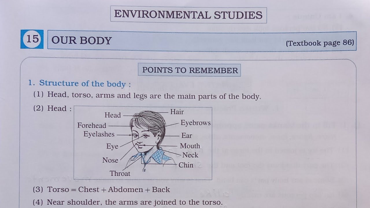 3rd Standard E.V.S. Workbook Chp 15 Our Body@Om Education