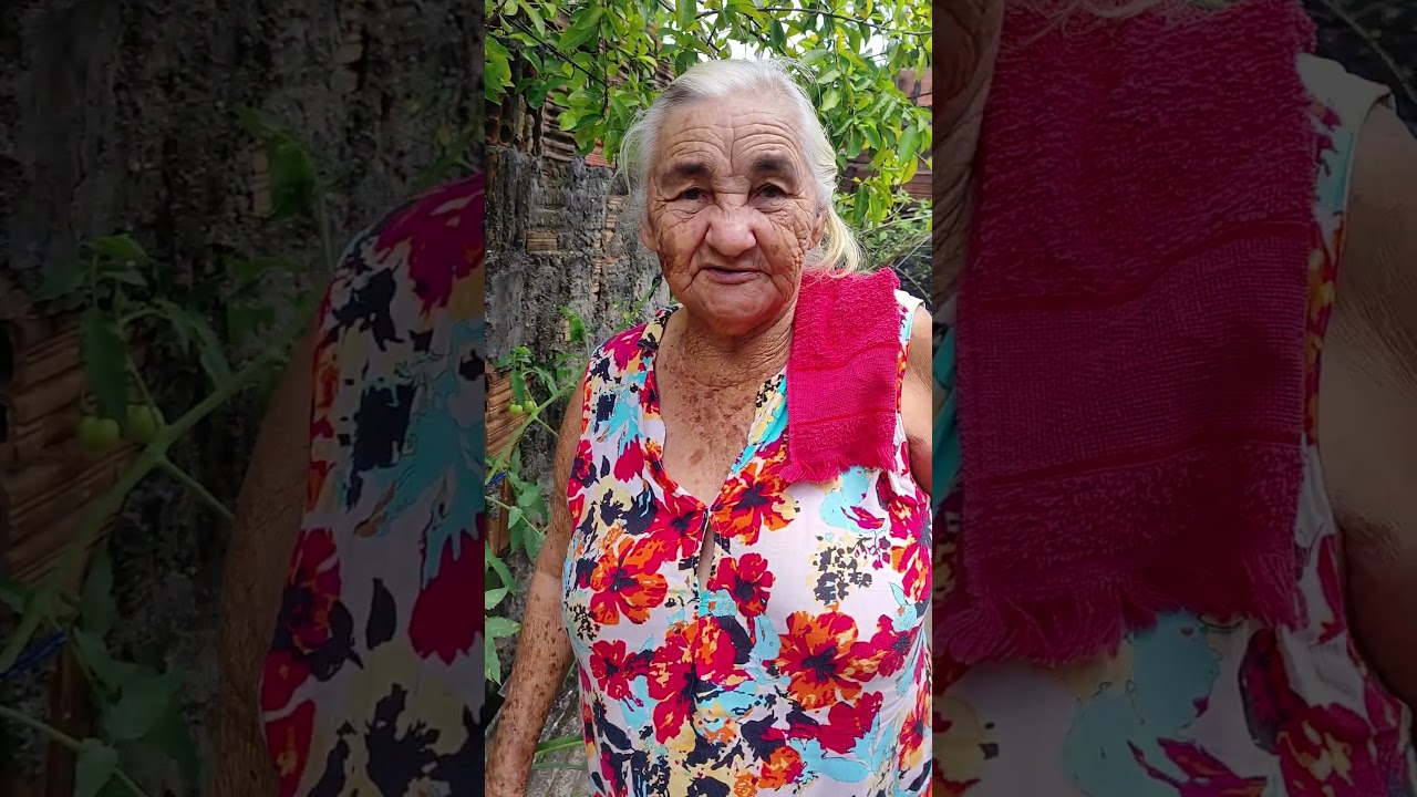 Parte 2 - Vov&oacute; mostrando os tomates e os coentro ❤️ #vovo #horta #coentro #shorts