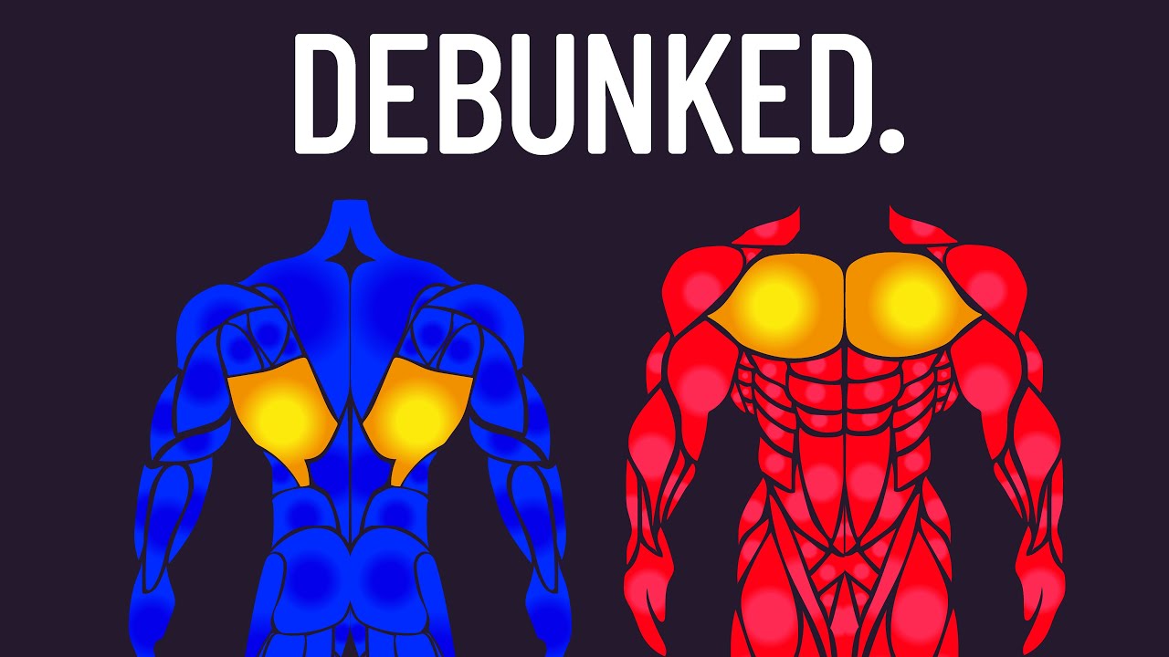 POPULAR Muscle & Strength Building MYTHS