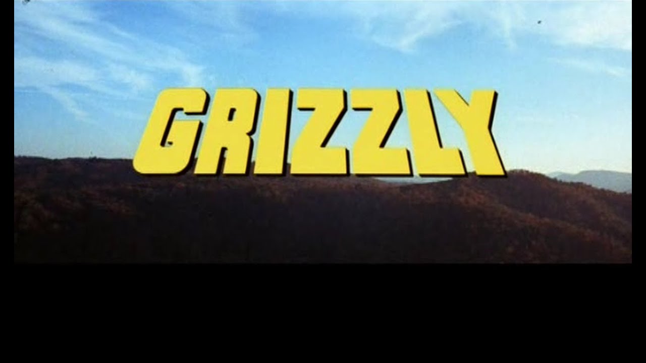 Media Hunter - Grizzly Review