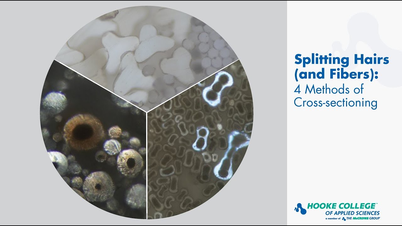 Splitting Hairs (and Fibers): 4 Methods of Cross-sectioning