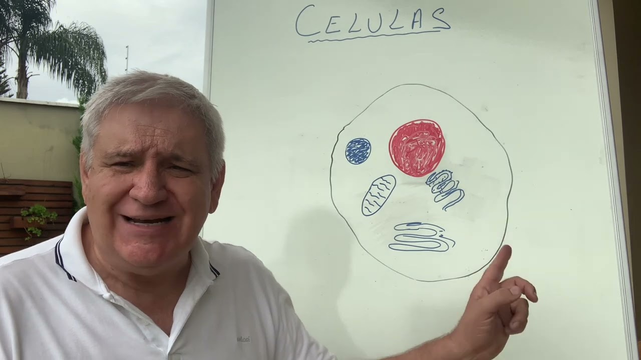 Vídeo 1 - conceitos básicos: Células