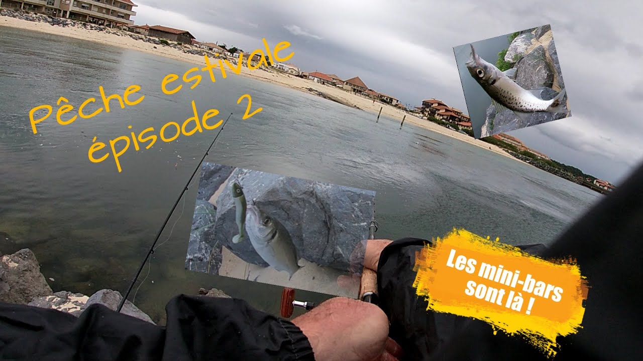 pêche estivale épisode 2