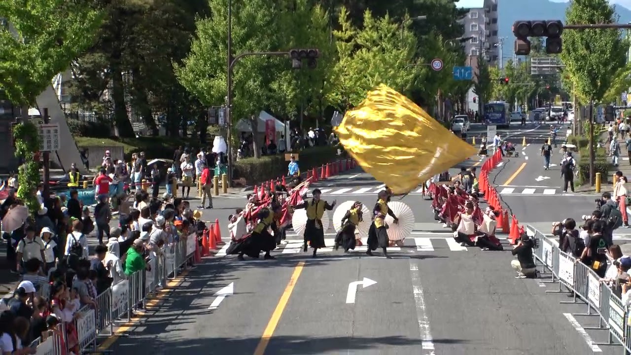 波桜　安濃津よさこい2024　12日　裁判所前会場1回目前半