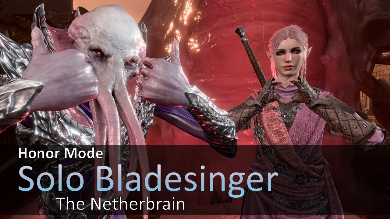 Solo Bladesinger - The Netherbrain aka the END | Honour Mode