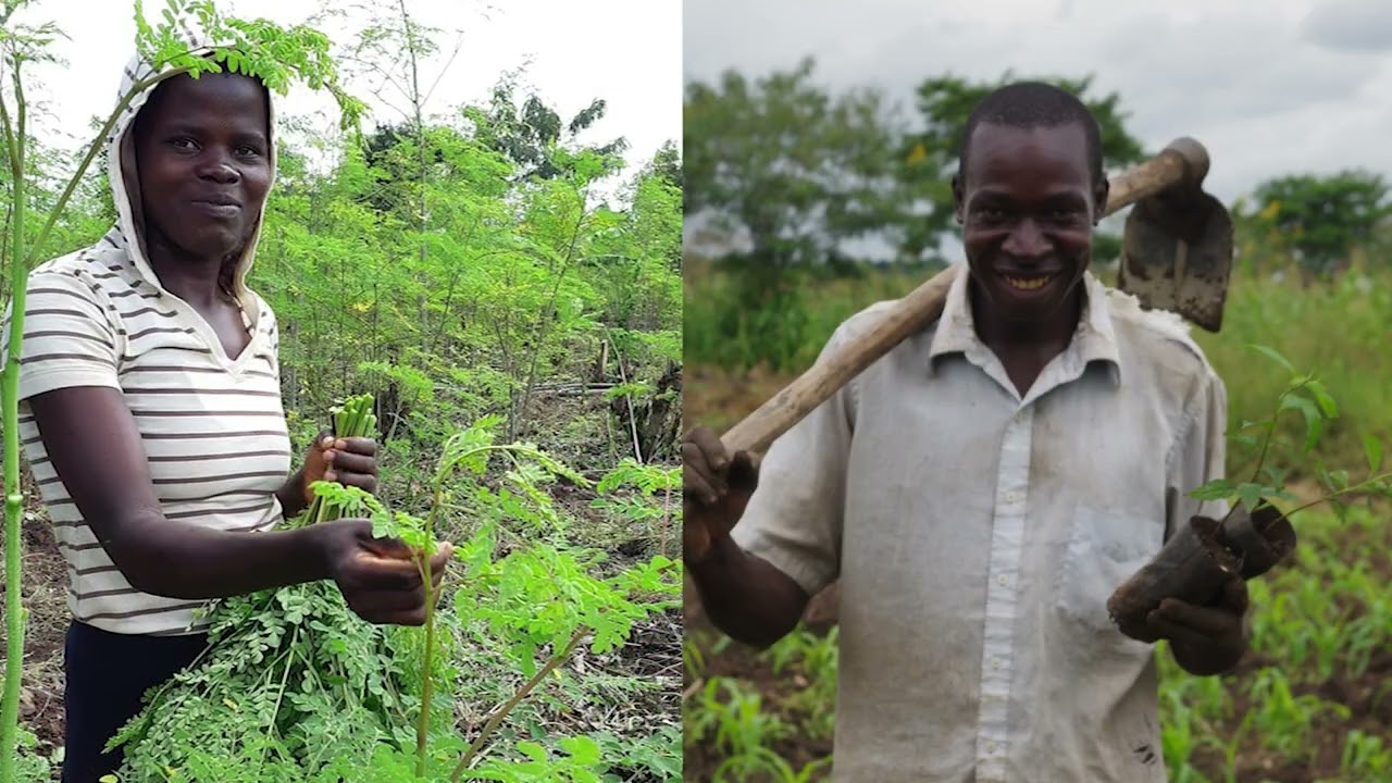 Priceless Farms: 