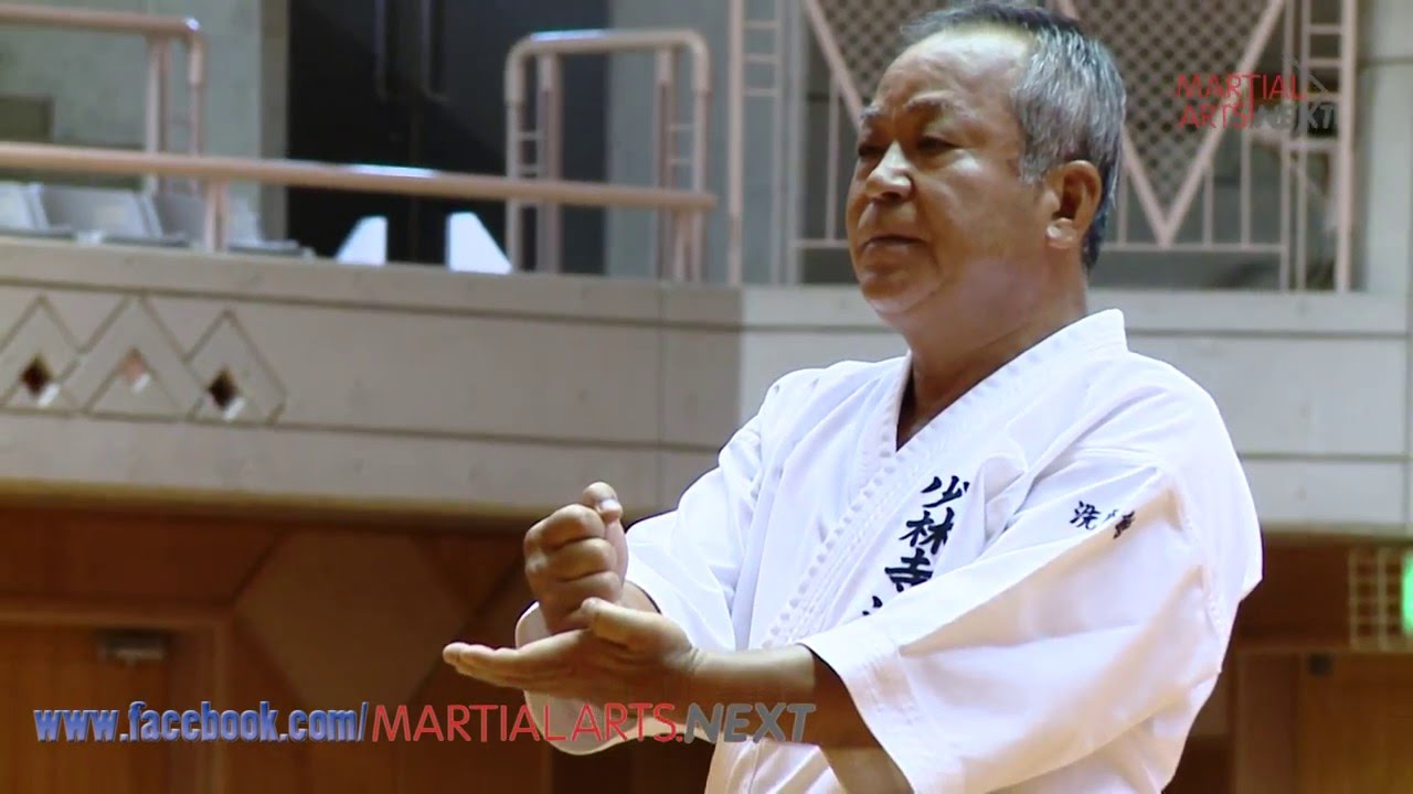 Masanobu Sakugawa, Chinto