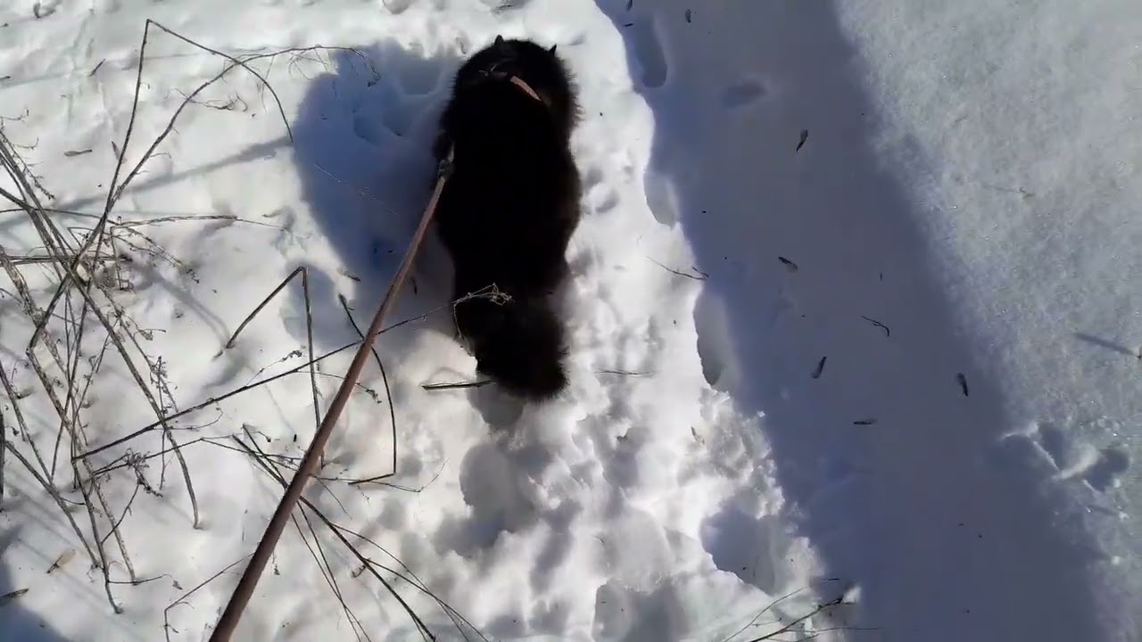 Сумщина замерзає....