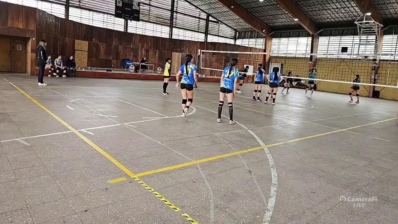el Bosque, Enigma - Nilsa Sub 16