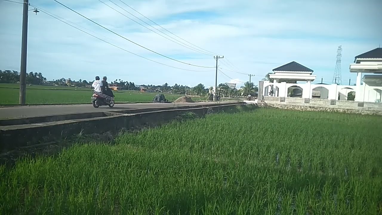 Sedang Mengintai Seseorang @YUDI_CHANNEL93 @armiaanekapancing8011