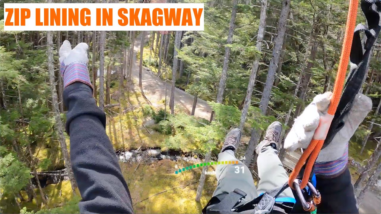 Long and quick zip line Skagway Alaska #zipline #gopro #views #alaska #tour #adventure #travel #fast