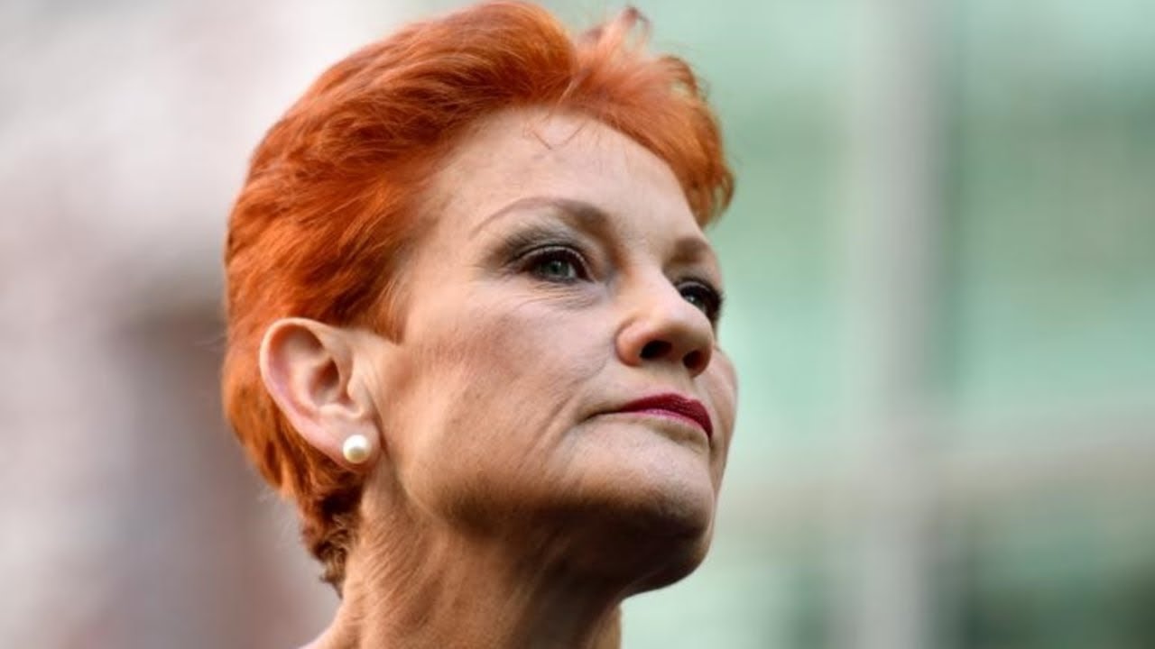Indigenous voice to parliament 'separating Australians based on their race': Hanson