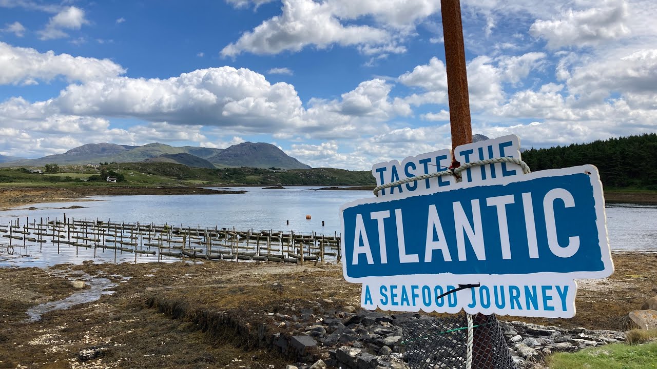 Oysters in Ireland | The Wild Atlantic Way | Part 2