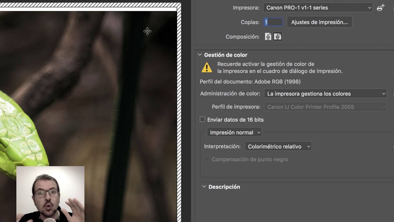 💡 Cómo imprimir 📄 en alta calidad, con Photoshop 🔊