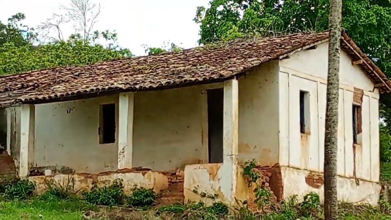 Mostrando a paisagem no sítio 