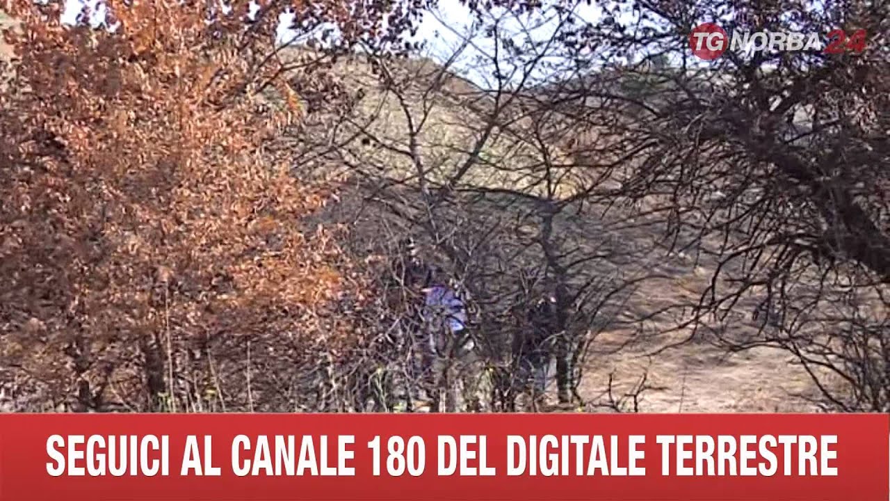 CANOSA  SCOMPARSO INCHIESTA