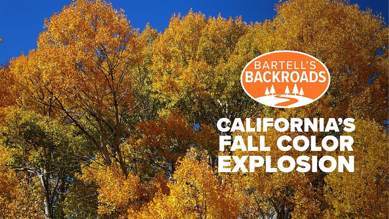 It's peak season for fall foliage in Northern California | Bartell's Backroads