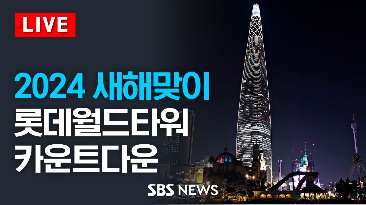 롯데월드타워 신년 카운트다운 행사 / SBS