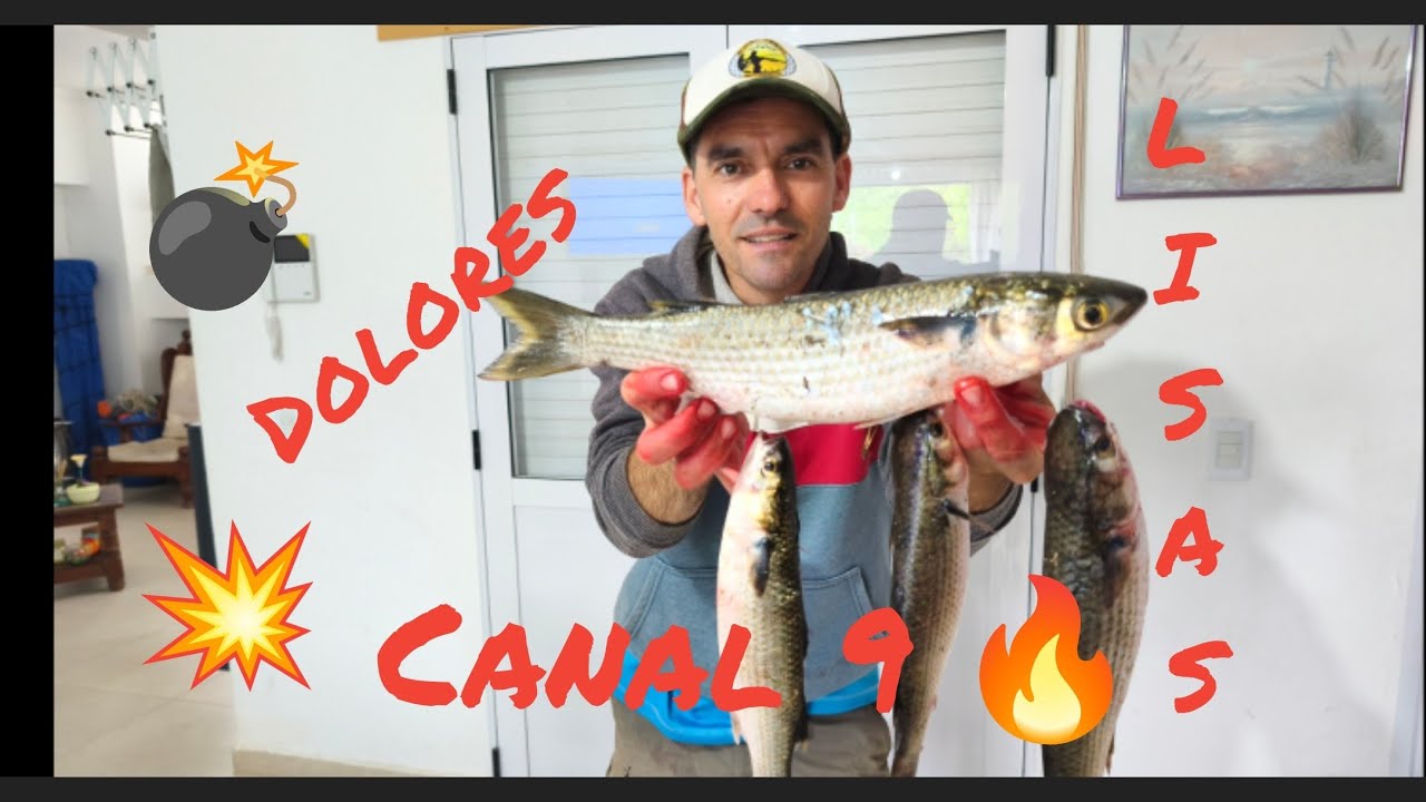 Pesca de lisas en el canal 9, están a full 