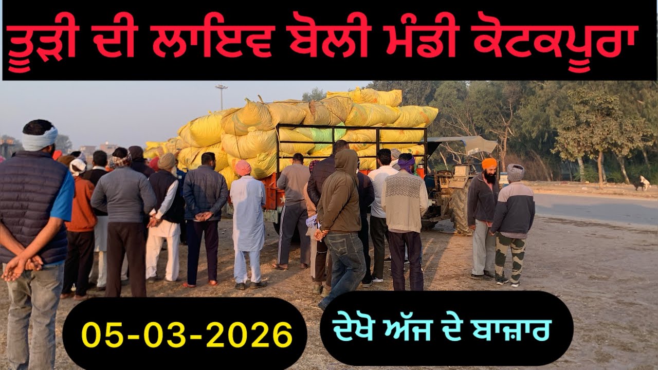 Todi de boli da taja rate today #pendhuvlogs #farming #automobile #punjab