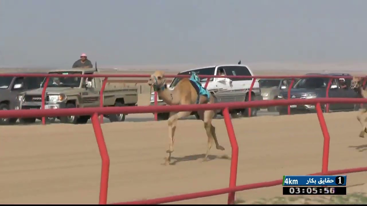 اليوم الاول حقايق مواطنين الفترة المسائية الشوط 1