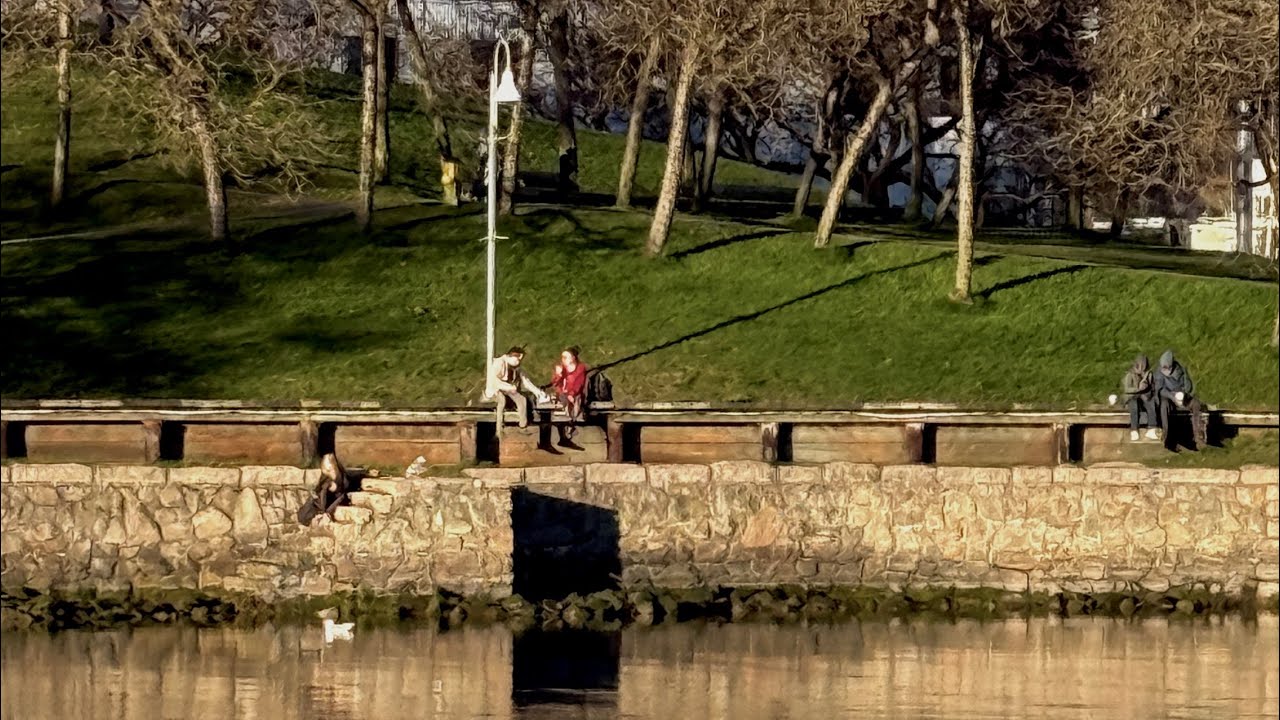[곧 마흔의 브이로그] 작은 순간들을 모으는 중