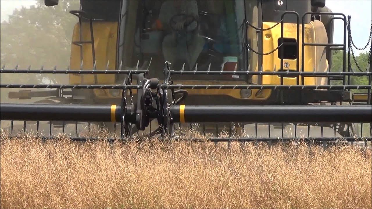 TN Winter Canola Harvest, June 2014