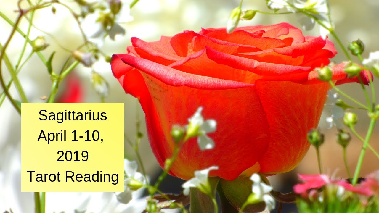 Sagittarius April 1-10, 2019 ~ Break Free From Pain & Onto The Path Of Success ~ Tarot Reading