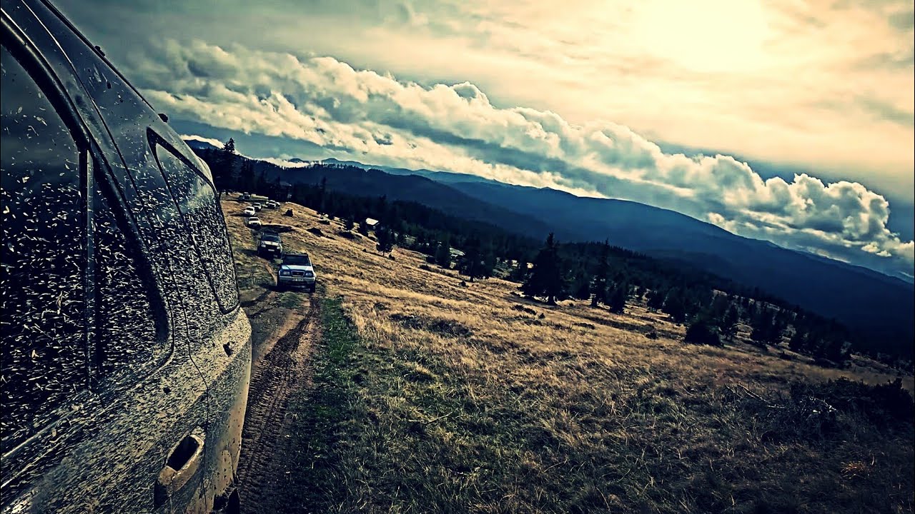 💥Он поймал нас ночью на дорогах Taf/Off Road с сюрпризами - Sorento, Patrol, Vitara, Duster, Jeep...
